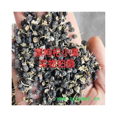 黑枸杞 产地直销黑枸杞小果新货 产地 青海省海东市乐都区