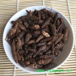 香附 光香附选个 质量好 价格低 产地 广西壮族自治区图2