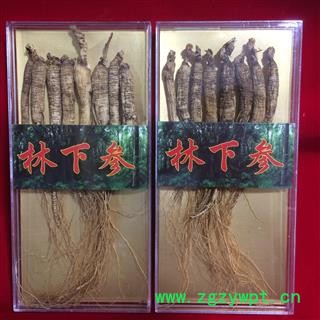 山参小条山参移山参,籽参图2