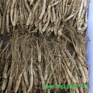 山参小条 配药 冲水 经济实惠 铅笔粗度 药用图2