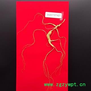 野山参 山参 一等野山参  正规国检野山参 一盒一只 15克左右野山参25年图3