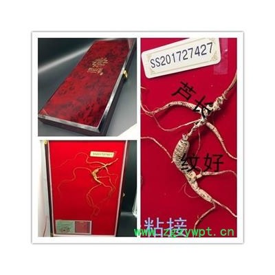 野山参 山参 一等野山参  正规国检野山参 一盒一只 15克左右野山参25年