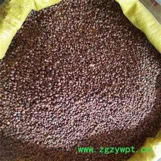 莱菔子 莱菔子统货 产地 四川省 为冲销量 低价出售 货好价优图3