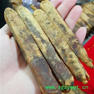 高丽参 单只压块 无糖黄皮高丽参，200克起售，买送礼盒