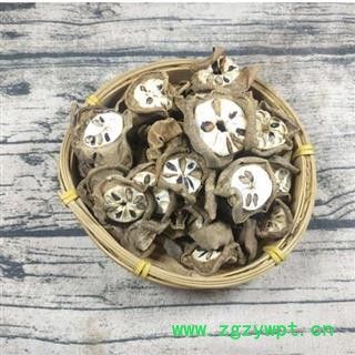 预知子 八月札 八月札 产地 湖北 精品好药 尽在山东七彩百草图3