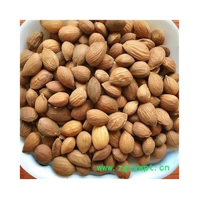 桃仁 山桃仁选货 新货掉价 假一赔万产地山西高含量为冲销量保本出售