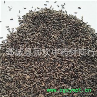 【牛子 牛蒡子净货】@【同欢药材】中药材批发供应  规格齐全 量大从优  产地 甘肃省图3