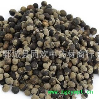 【进口大颗粒蔓荆子】@【同欢药材】中药材批发供应  规格齐全  量大从优 产地 云南省图2