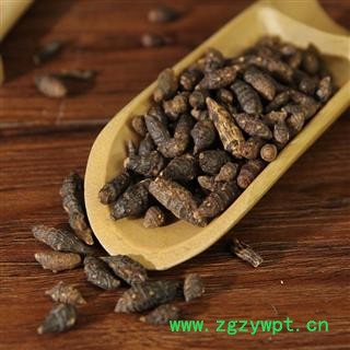 香附 中药材 香附子生香附制香附散装图3