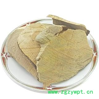 毛冬青根 中药材 毛冬青片 毛冬青树 毛冬青砍片图4