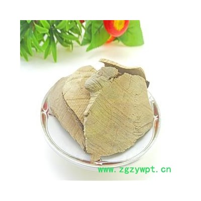 毛冬青根 中药材 毛冬青片 毛冬青树 毛冬青砍片