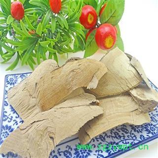 毛冬青根 中药材 毛冬青片 毛冬青树 毛冬青砍片图2