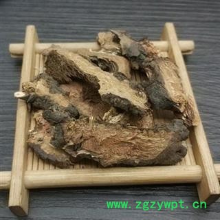 地榆 生地榆 赤地榆 红地榆 中药材地榆 地榆炭图4