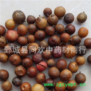 【南天竹子 南天竺子】@【同欢药材】中药材批发供应 规格齐全 量大从优 产地 江苏省图3