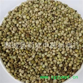 【大粒带壳火麻仁】@【同欢药材】中药材批发供应  规格齐全 量大从优 产地 甘肃省图2