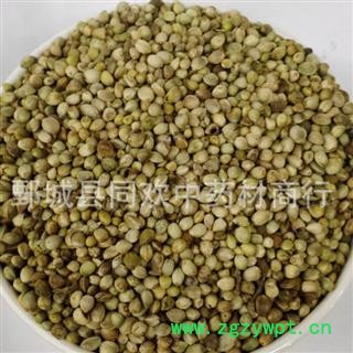 【大粒带壳火麻仁】@【同欢药材】中药材批发供应  规格齐全 量大从优 产地 甘肃省图3