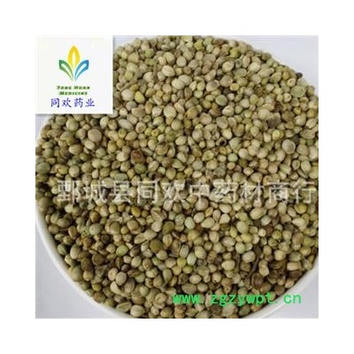 【大粒带壳火麻仁】@【同欢药材】中药材批发供应  规格齐全 量大从优 产地 甘肃省