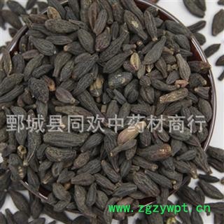 【西青果】@【同欢药材】中药材批发供应  规格齐全 量大从优 产地 广西壮族自治区图2