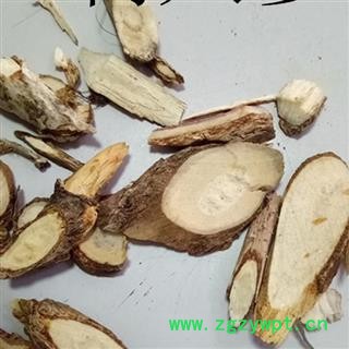 圣草康园刺参 刺人参图2