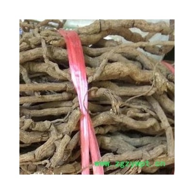 圣草康园山胡椒根 纯根（绝非地上部分）