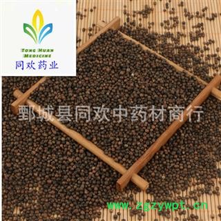 【黄荆子 牡荆子】规格齐全 量大从优  产地 山东省图3