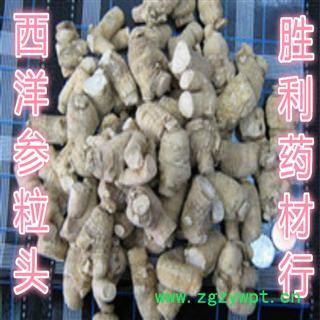 圣草康园 长白山西洋参 西洋参粒头10克粒 粒头图2