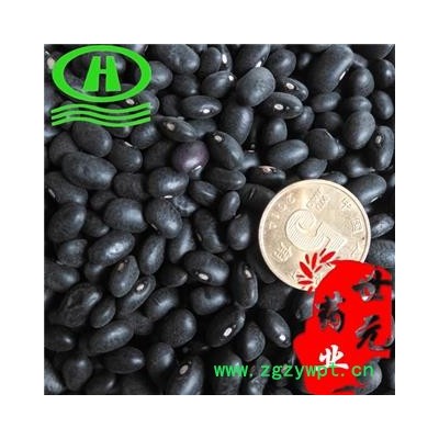 世元药业 黑豆 正品 黄茬 黑大豆 橹豆 稽豆 枝仔豆
