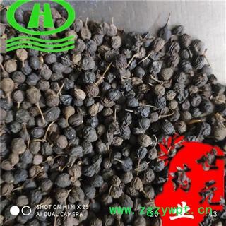 世元药业 鼠李子 别称 小叶鼠李 黑格铃 臭李子 鼠李籽 挠胡子 女儿茶子 老鸹眼 牛李 鼠梓 山李子 乌巢子 牛李子 楮李 乌搓子 牛皂子 乌罡子图2