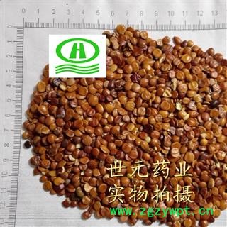 世元药业 进口理生枣仁 原包无壳 生酸枣仁 山枣仁 酸枣子 棘仁 里枣仁