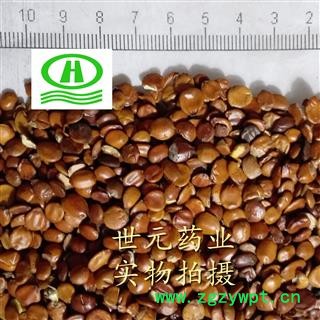 世元药业 进口理生枣仁 原包无壳 生酸枣仁 山枣仁 酸枣子 棘仁 里枣仁图2