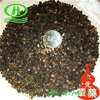 世元药业 曼陀罗子 天茄子 凤茄果 曼茶罗 醉心花 狗核桃 【全品除尘中药】图2