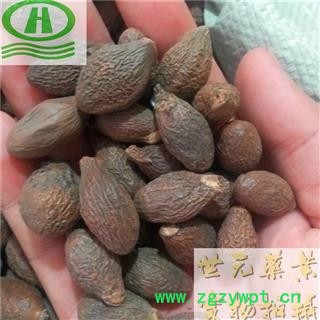 世元药业 胖大海 长粒果 药效更好 无硫 籽粒饱满 破皮少【全品花茶中药】图2