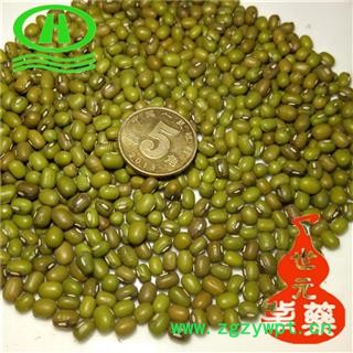 世元药业 绿豆 新货 正品 无污染 特级 手选图2