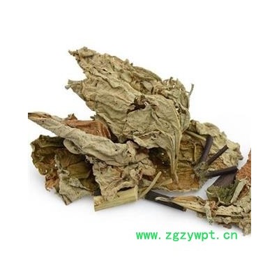 圣草康园 中药材 白背根 白背叶根 白背桐另有 白背叶产地陕西