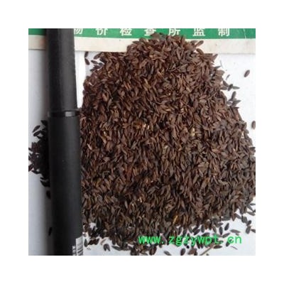 世元药业 黑生菜子 黑生菜籽 正品 黑巨胜