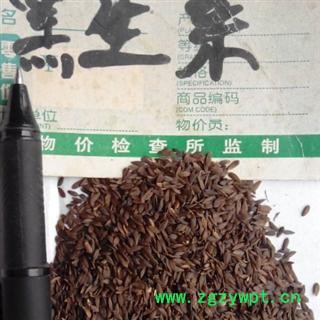 世元药业 黑生菜子 黑生菜籽 正品 黑巨胜图3