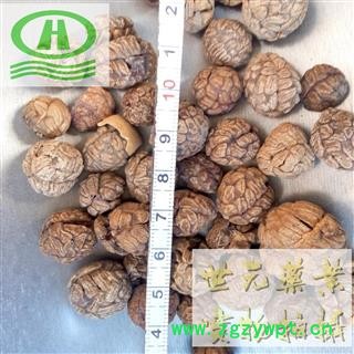 世元药业 草蔻 小草寇 草叩 草扣 海南山姜 土砂仁 假砂仁图2