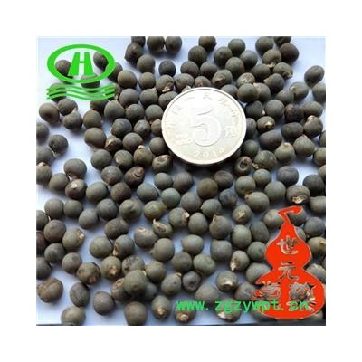 世元药业 黄蜀葵子 黄秋葵子 黄蜀葵籽 黄秋葵籽【全品除尘中药】