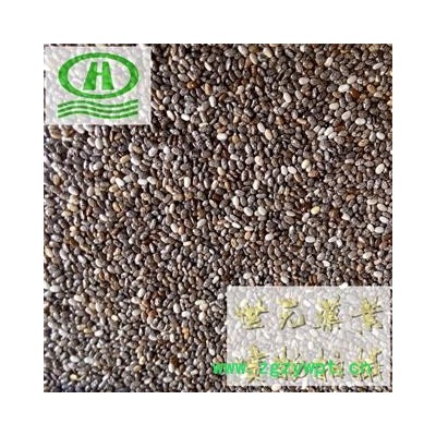 世元药业 奇雅子 奇亚籽 正品