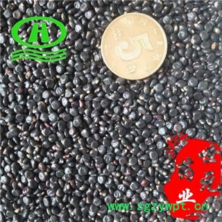 世元药业 水红花子 净货 水荭子 荭草实 河蓼子 川蓼子 水红子 狗尾花子图2