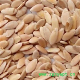 世元药业 甜瓜子 正品 新货 香瓜籽图2