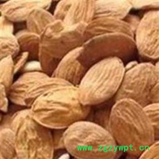 家桃仁 扁桃仁统货 完整无碎瓣 今年新货 没有走油  产地 山东省图2