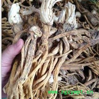 精品水洗家种秦艽个子选货 质量好 价格低  产地 云南省图2