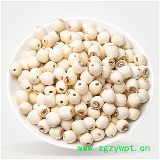 正品湖南湖北白莲子抽芯大小匀称图2