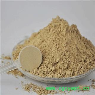 当归  当归粉纯正甘肃当归粉半斤一罐七天无理由退换货满980元包邮图2