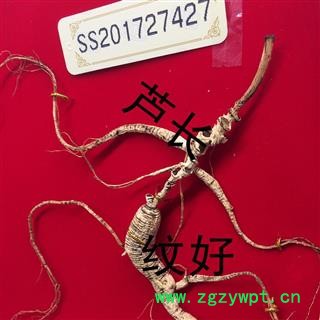 野山参 山参 一等野山参  正规国检野山参 一盒一只 15克左右野山参25年图2