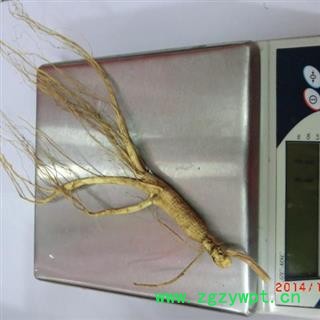 山参 人参 散支山参 单只重约5--7克图2