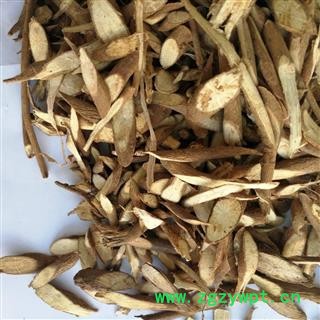 千斤拔  一条根 老鼠尾 吊马墩 吊马桩 金牛尾 钉地根 土黄芩 钻地风图3