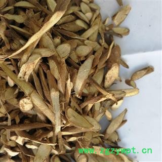 千斤拔  一条根 老鼠尾 吊马墩 吊马桩 金牛尾 钉地根 土黄芩 钻地风图2