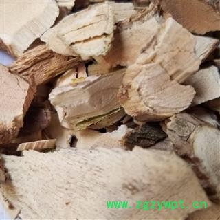 猫人参 猫气藤 沙梨藤图2